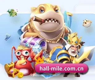 hall-mile.com.cn的故事